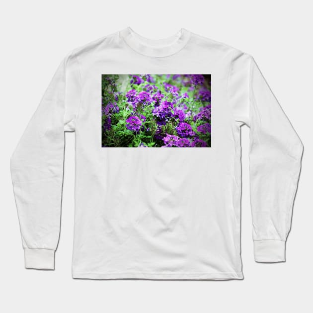 Purple Verbena Long Sleeve T-Shirt by Cynthia48